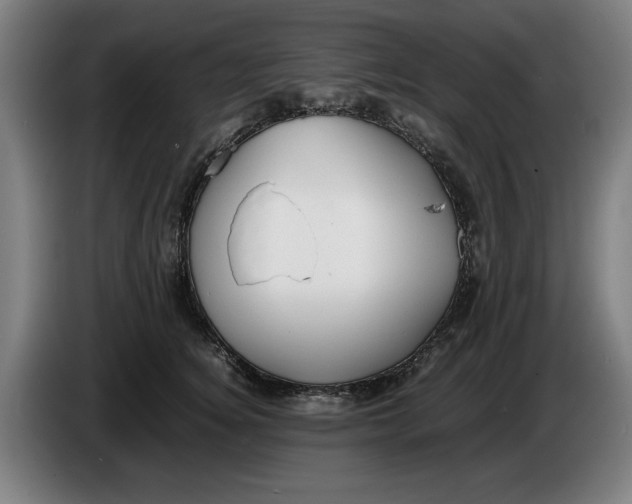 X0000086260756200704191903