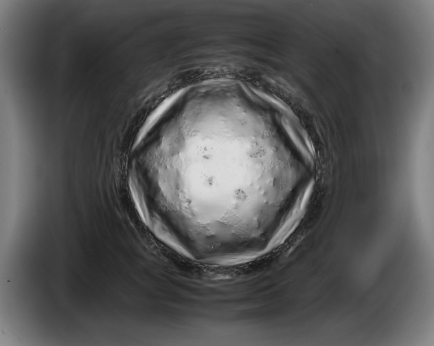 X0000086260757200704191903