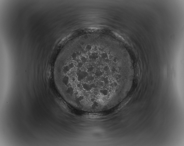 X0000086260758200704191903
