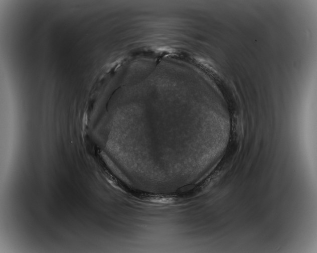 X0000086260760200704191903
