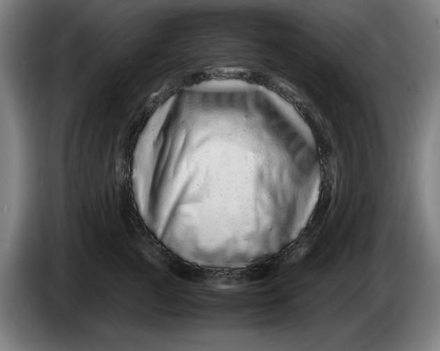 X0000086260761200704191903
