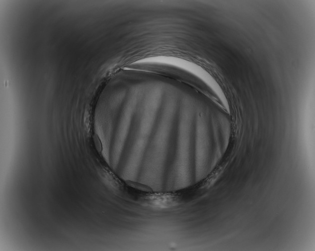 X0000086260762200704191903