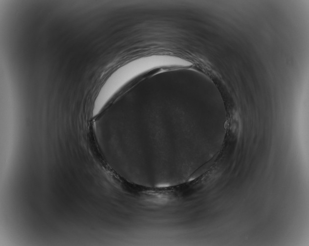 X0000086260763200704191903