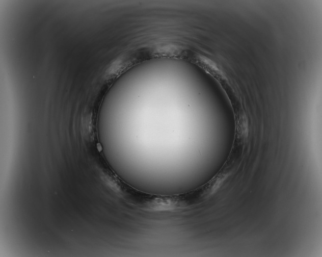 X0000086260764200704191903