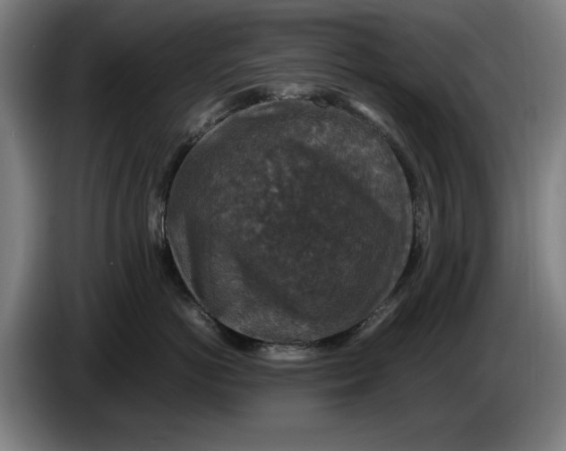 X0000086260766200704191903