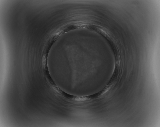 X0000086260767200704191903