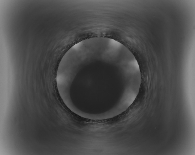 X0000086260769200704191903