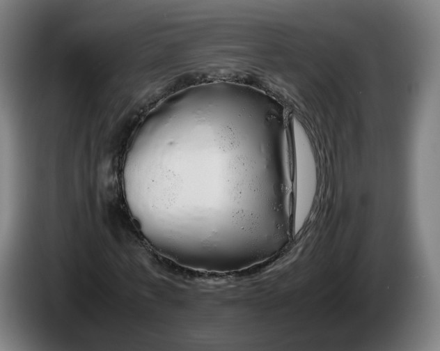 X0000086260771200704191903