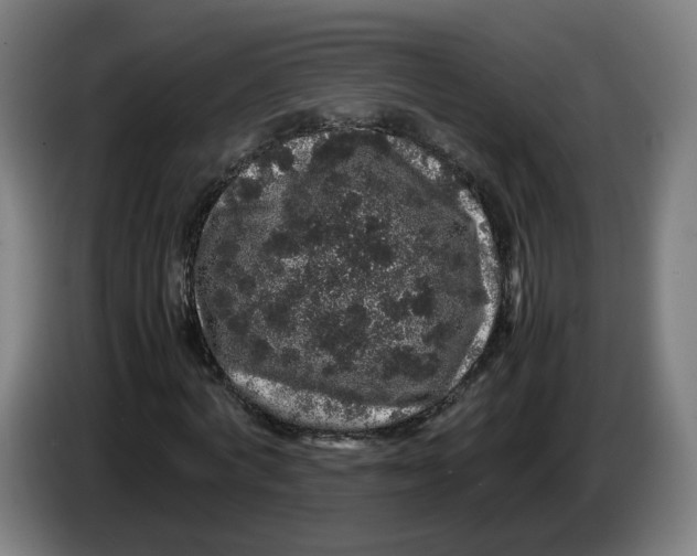 X0000086260772200704191903