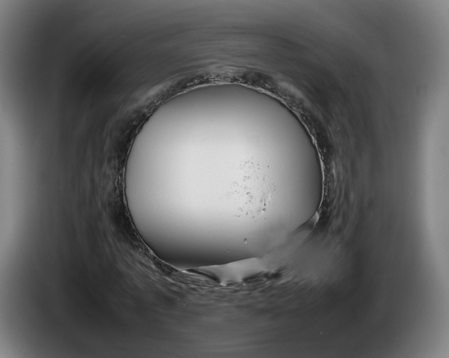 X0000086260773200704191903