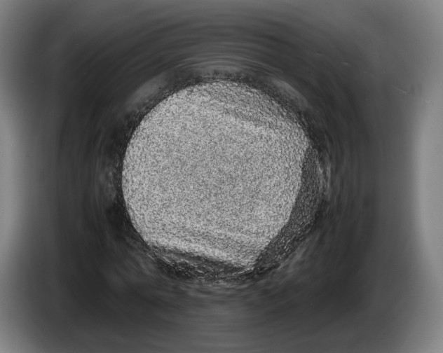 X0000086260774200704191903