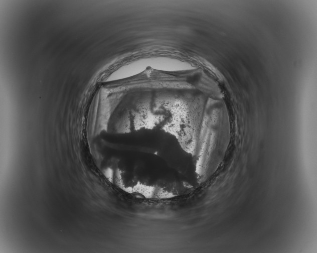 X0000086260775200704191903
