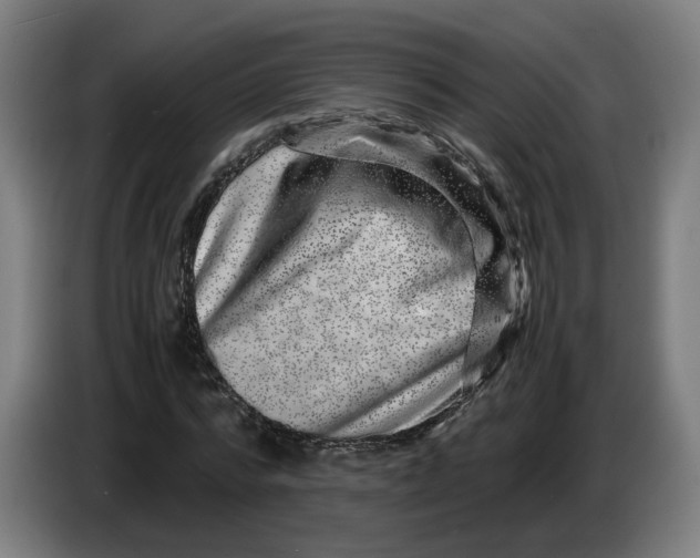 X0000086260776200704191903