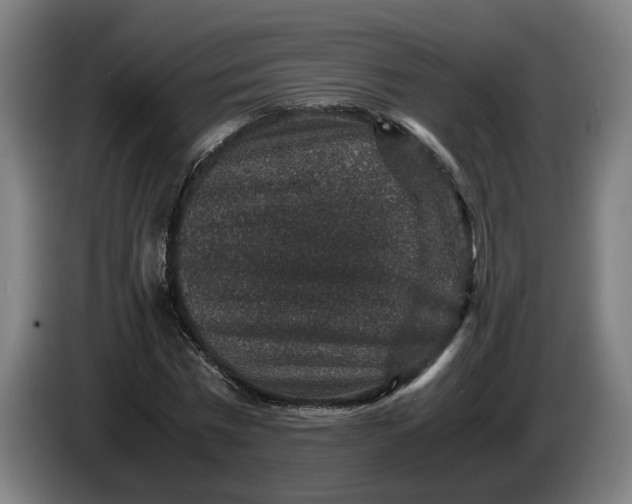 X0000086260777200704191903