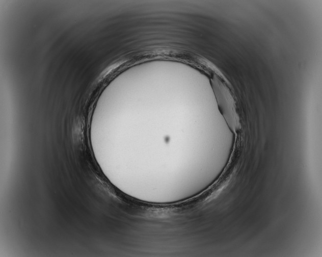 X0000086260778200704191903