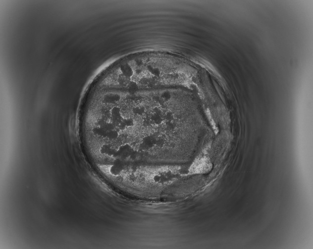 X0000086260780200704191903