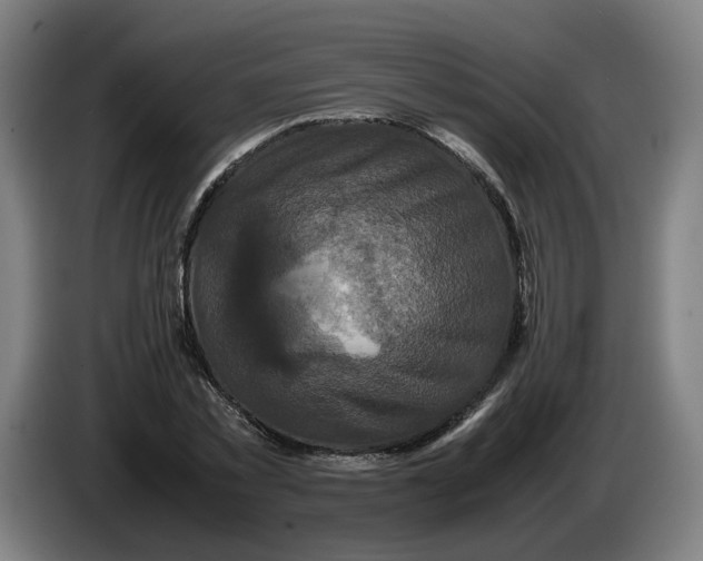 X0000086260781200704191903