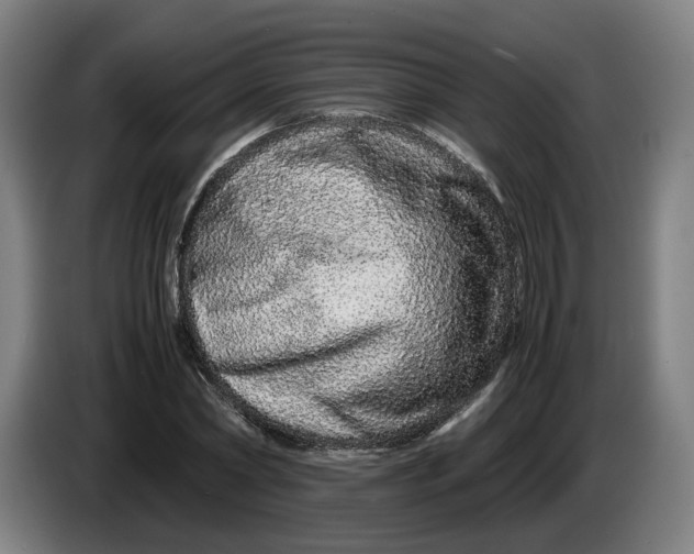 X0000086260782200704191903