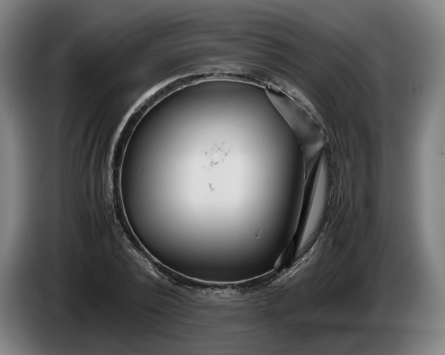 X0000086260784200704191903