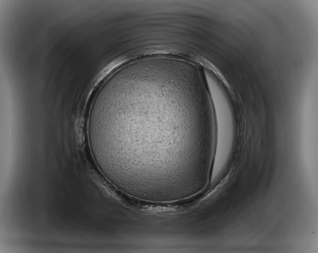 X0000086260786200704191903