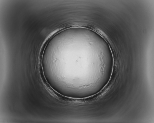 X0000086260787200704191903