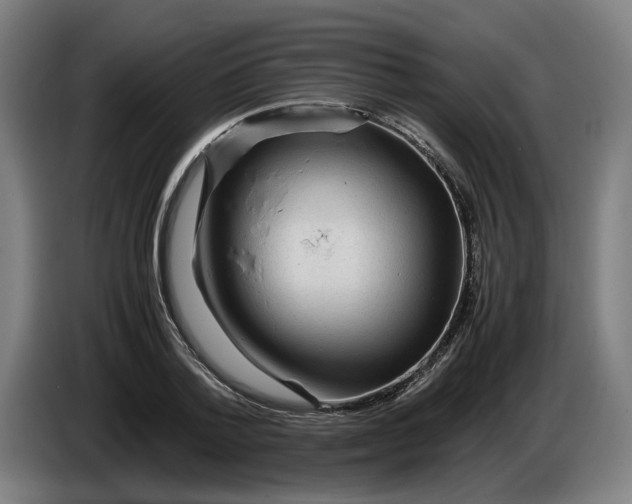 X0000086260788200704191903