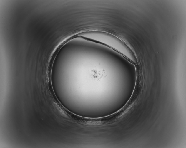 X0000086260789200704191903