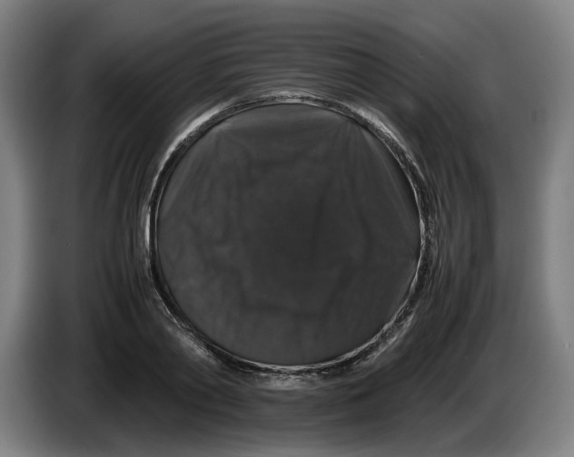 X0000086260790200704191902