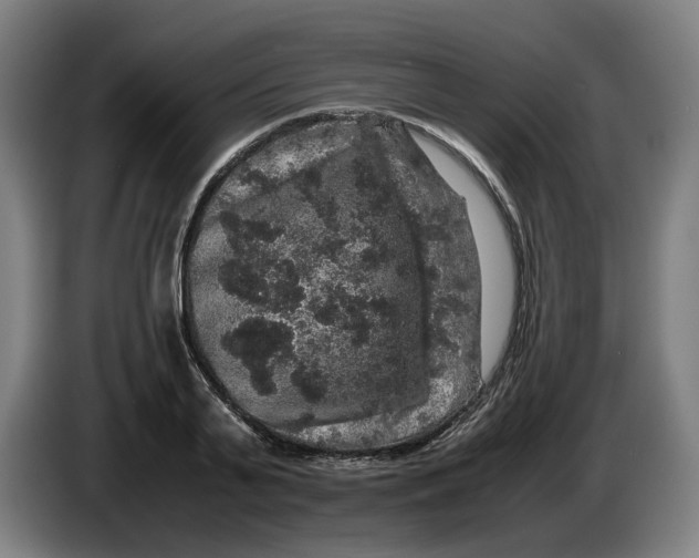 X0000086260791200704191902