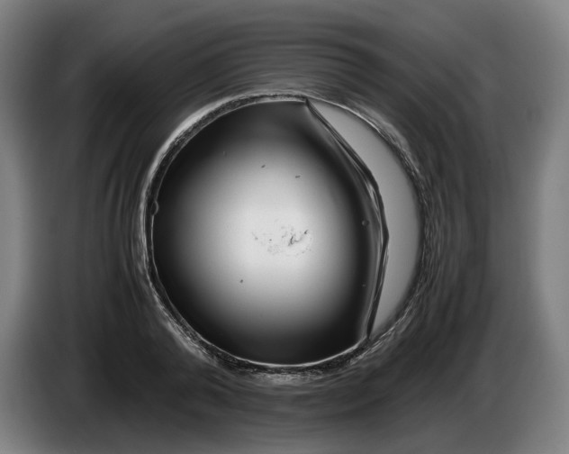 X0000086260792200704191902