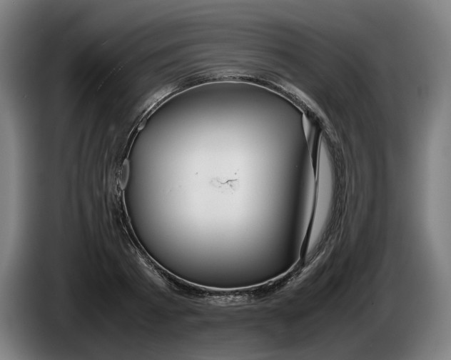 X0000086260793200704191902