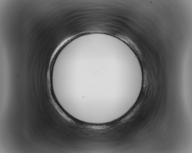 X0000086260796200704191902