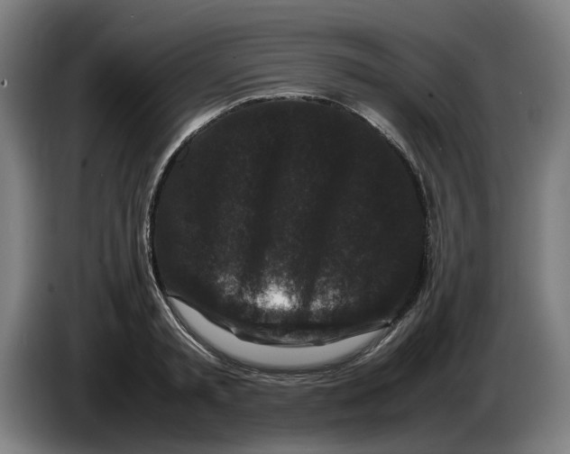 X0000086260797200704191902