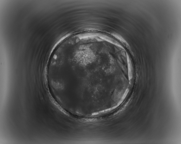 X0000086260798200704191902