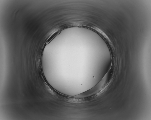 X0000086260801200704191902