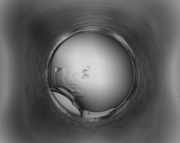 X0000086260805200704191902
