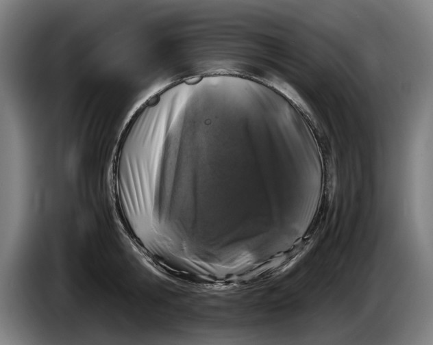 X0000086260806200704191902