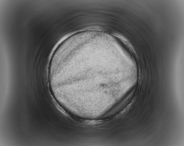 X0000086260808200704191902