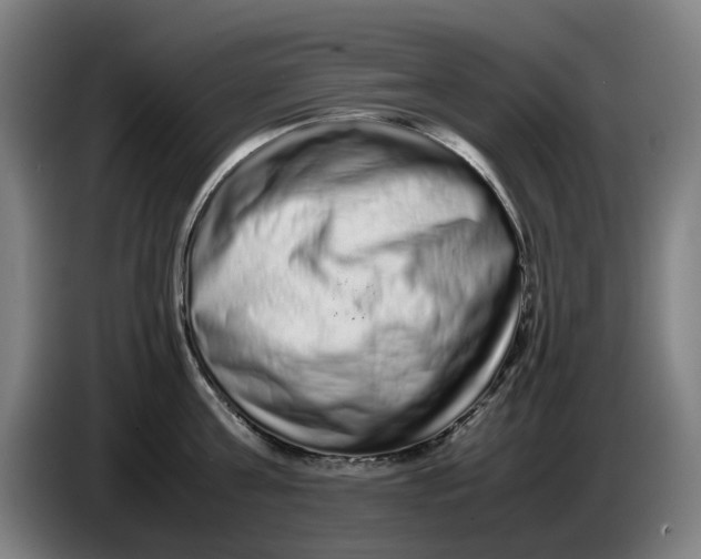 X0000086260811200704191902