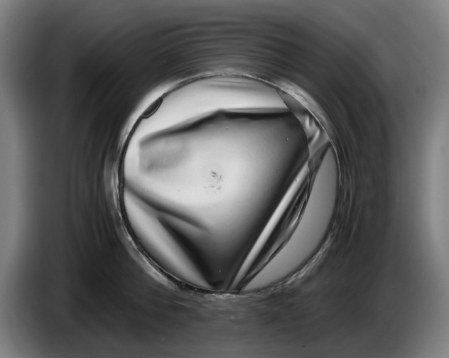 X0000086260812200704191902