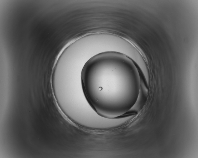 X0000086260813200704191902