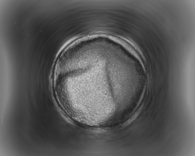 X0000086260814200704191902