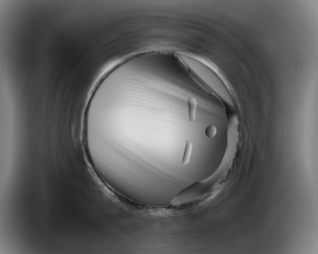 X0000086260815200704191902