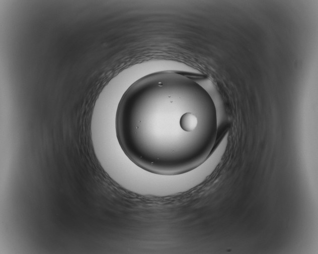 X0000086260818200704191901