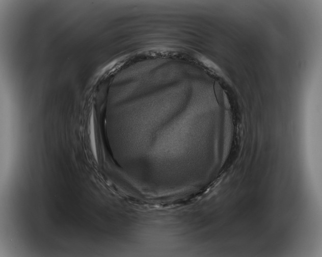 X0000086260822200704191902