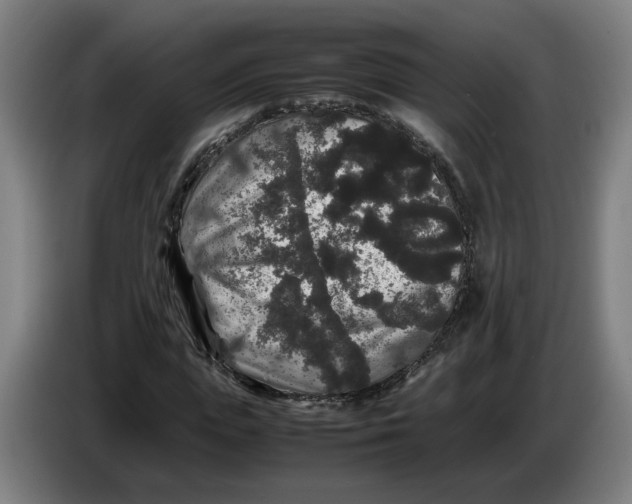 X0000086260823200704191902