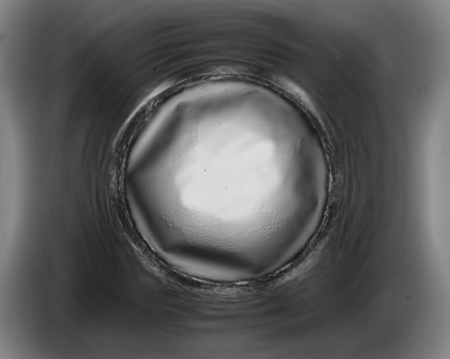 X0000086260827200704191902