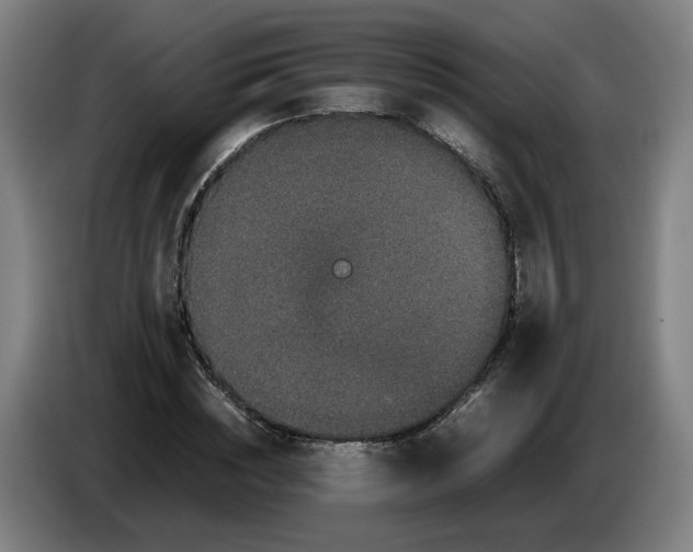 X0000086260828200704191902