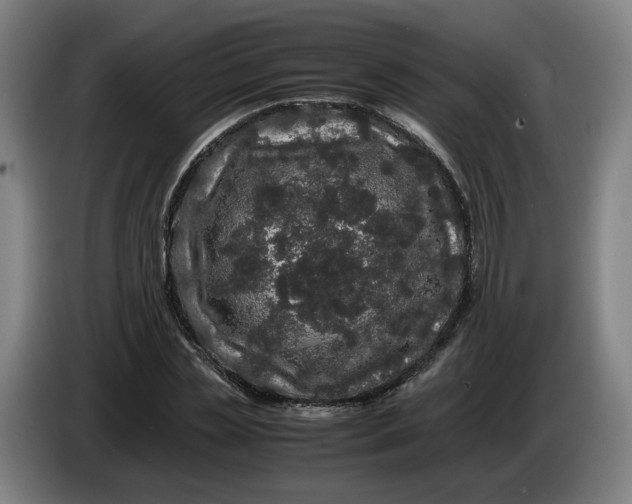 X0000086260829200704191902