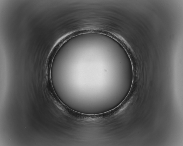 X0000086260830200704191902